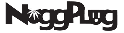 NuggPlug Logo Sep 2015